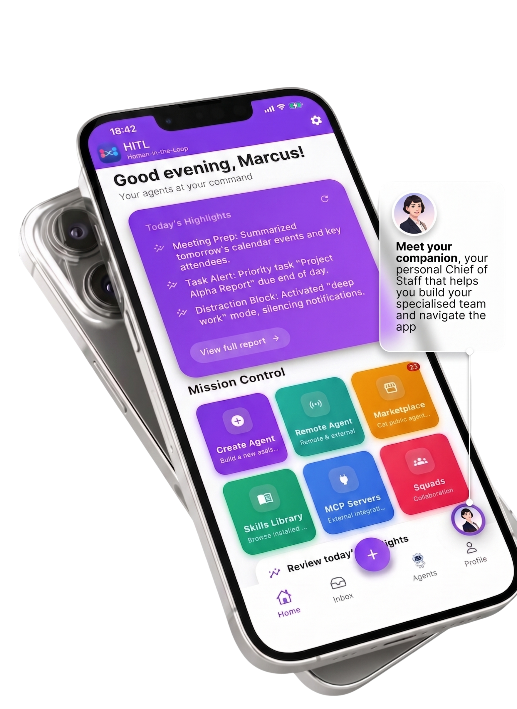 HITL App Interface